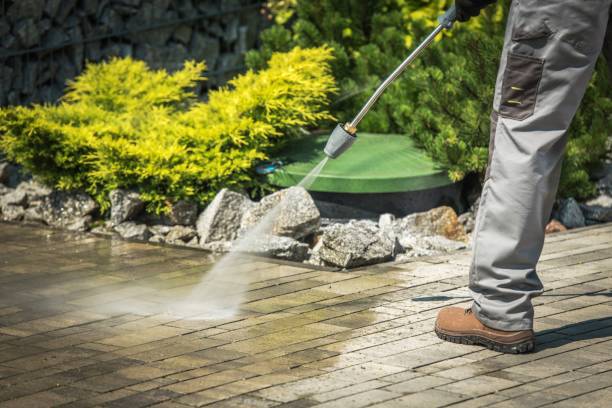 Best Oil Spill Cleanup  in Mill Valley, CA