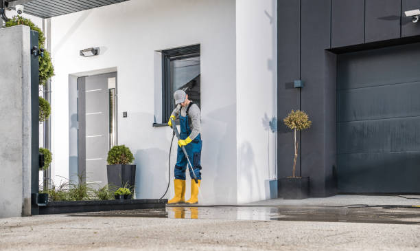 Best Warehouse Cleaning  in Mill Valley, CA